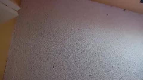 Sophiestar online show from 03.05.26