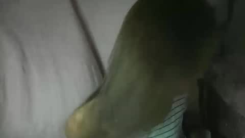 Snapshot of yourlenda chatting on 02.03.26 Glenda online show from 02.03.26