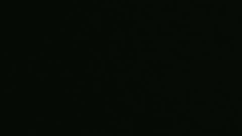 yourpersonalgeniusl online show from 12.27.24