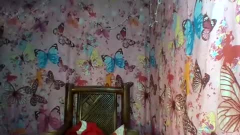 im MAY online show from 02.12.25