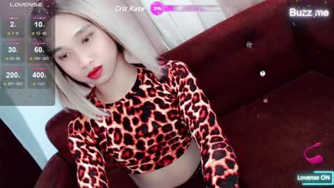 Stella online show from 04.10.26