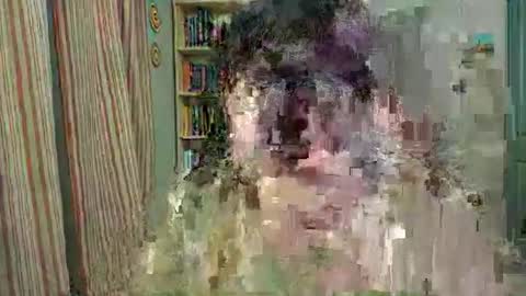 Rose Noire online show from 04.10.26