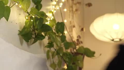 Snapshot of yulladao chatting on 02.28.25 yulla dao online show from 02.28.25