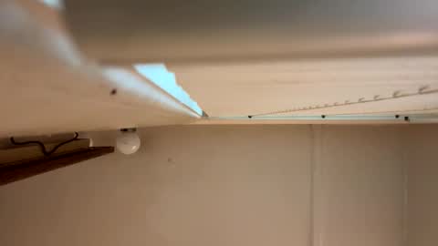 Snapshot of yungstudbev chatting on 03.01.26 yungstudbev online show from 03.01.26