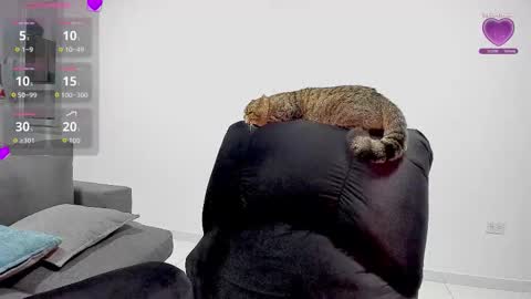 zafiralov online show from 12.05.25