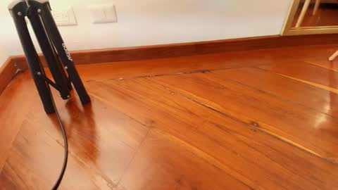 Snapshot of zarah_andrews chatting on 10.28.25 Zarah Andrews online show from 10.28.25