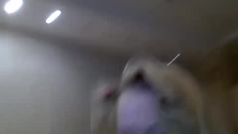 Snapshot of zarinaswift chatting on 02.14.25 Zarina Swift online show from 02.14.25