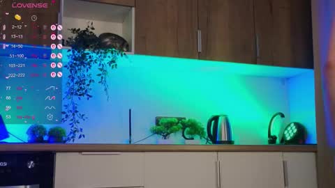 Snapshot of zelda_1 chatting on 09.23.25 Zelda online show from 09.23.25