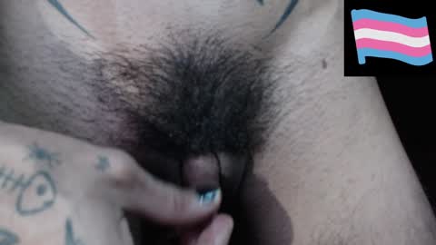 Snapshot of zeldrissss chatting on 12.14.24 Zeldris online show from 12.14.24