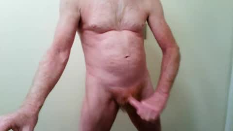 zeplin12 online show from 11.11.25