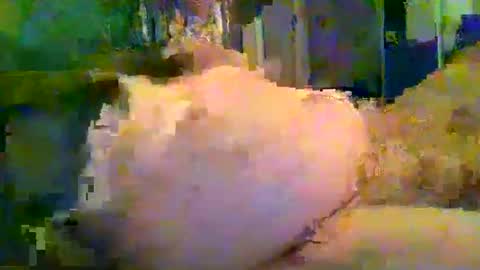 Snapshot of zero0zero123 chatting on 09.27.25 zero0zero123 online show from 09.27.25