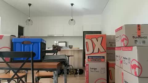 zeroventure online show from 03.31.26