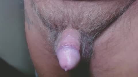 bambi cumslut online show from 12.06.24