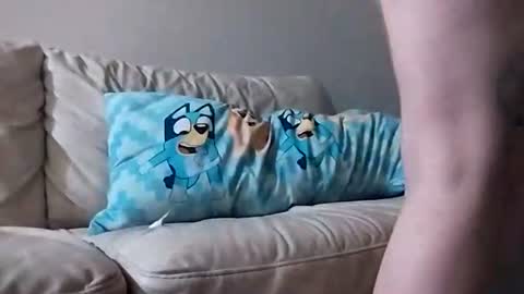 Snapshot of zeusthemoose999 chatting on 07.25.26 zeusthemoose999 online show from 07.25.26