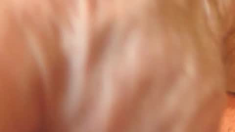 Snapshot of zevioo77 chatting on 11.18.25 zevioo77 online show from 11.18.25