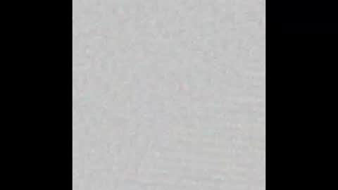 zhally_dee online show from 01.31.26