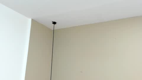 zia online show from 09.15.25