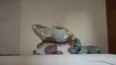 zkopa1234 online show from 06.18.26
