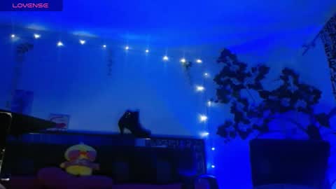 zoemi online show from 01.16.25