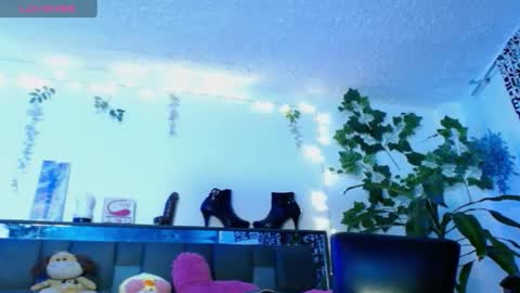 zoemi online show from 01.19.25