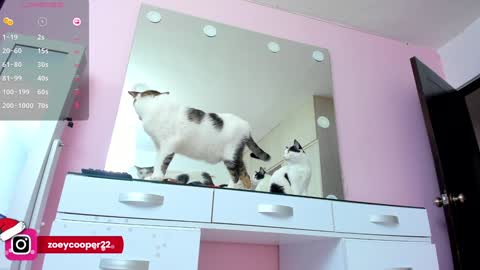 zoey  Independent model online show from 12.30.24