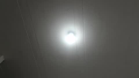 Snapshot of zoeyandnoah chatting on 11.13.25 ZoeyANDNoah online show from 11.13.25