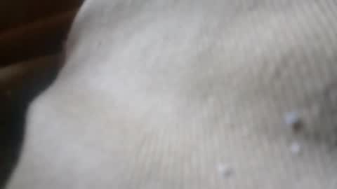 Snapshot of zoeybaby555gfr chatting on 06.04.26 bigdickdaddy online show from 06.04.26