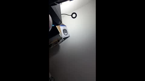 zorrodelavega online show from 04.20.26