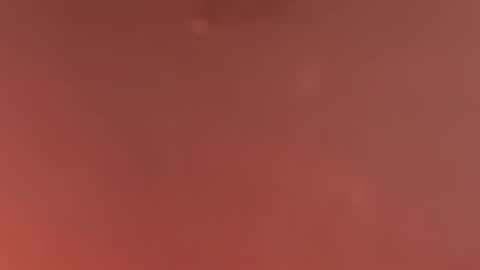 Snapshot of zuckerzel chatting on 04.12.26 Zuckerzel online show from 04.12.26