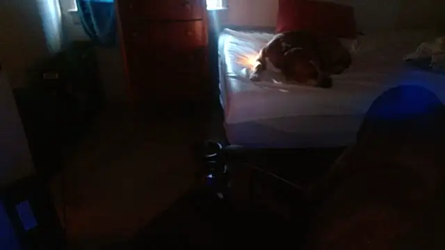 Snapshot of DADDY_KANE8--- chatting on 01.17.26 DADDY KANE8--- online show from 01.17.26