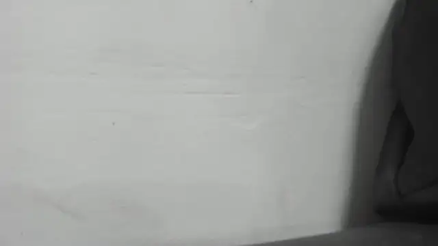 roxana collins online show from 01.16.25