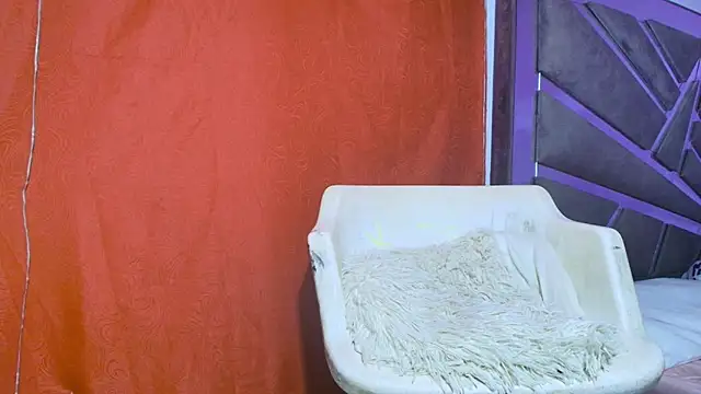 roxana collins online show from 09.21.25