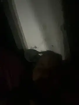 Snapshot of punhetaba chatting on 02.24.26 punhetaba online show from 02.24.26