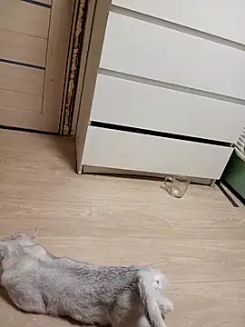 Linda Gregory online show from 02.18.26