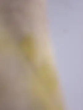 Mane leet online show from 01.14.26