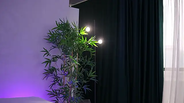 ArtTeasee online show from 03.02.26