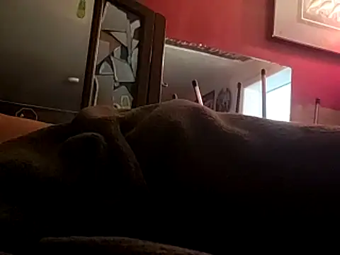 Snapshot of JRock69nKzoo chatting on 11.12.25 JRock69nKzoo online show from 11.12.25