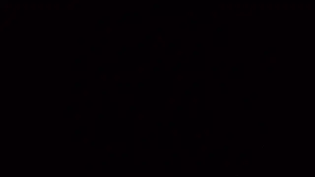 PartyguySLC78 online show from 02.26.25