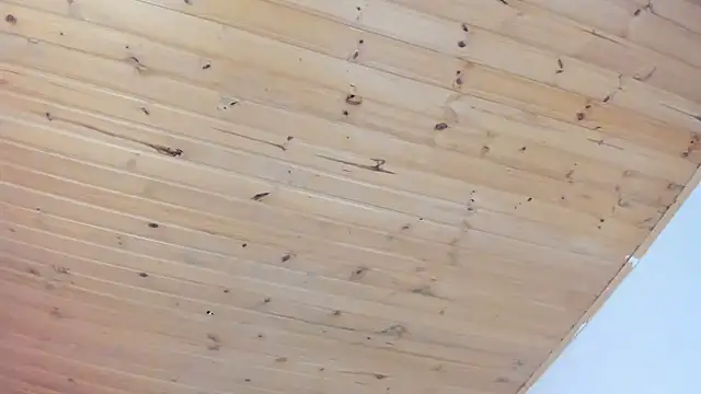 cristal  hot 1 online show from 02.01.25