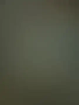 Snapshot of Sam_Sara chatting on 02.19.26 Sam Sara online show from 02.19.26