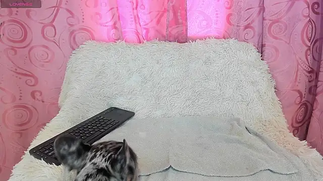 Snapshot of iisabella_gonzalez chatting on 09.13.25 iisabella gonzalez online show from 09.13.25