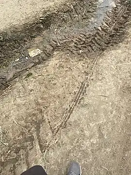 parabellumm online show from 04.17.26