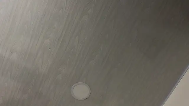 Snapshot of dolly_zoe chatting on 02.24.26 dolly zoe online show from 02.24.26