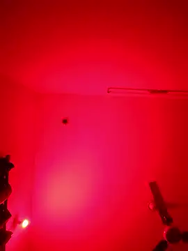 ZIMMY25 online show from 01.08.26