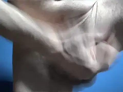 Snapshot of Pol8822 chatting on 03.04.26 Pol8822 online show from 03.04.26