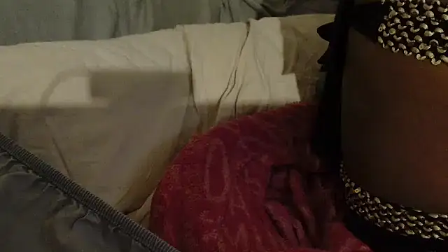 ROXYNL online show from 02.08.25