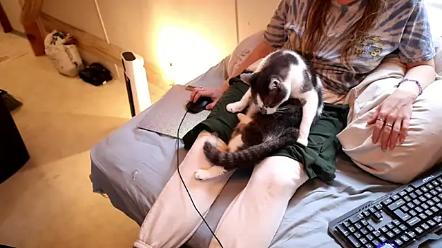 Snapshot of xxpixeyxx chatting on 11.29.25 xxpixeyxx online show from 11.29.25