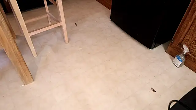 xxpixeyxx online show from 02.12.26