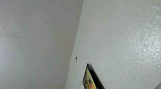 katery wok11 online show from 03.21.25