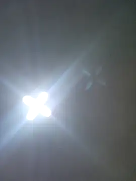 Ricorryxh online show from 10.14.25